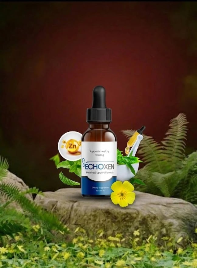 EchoXen